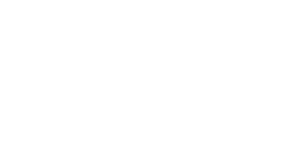 Haval Logo